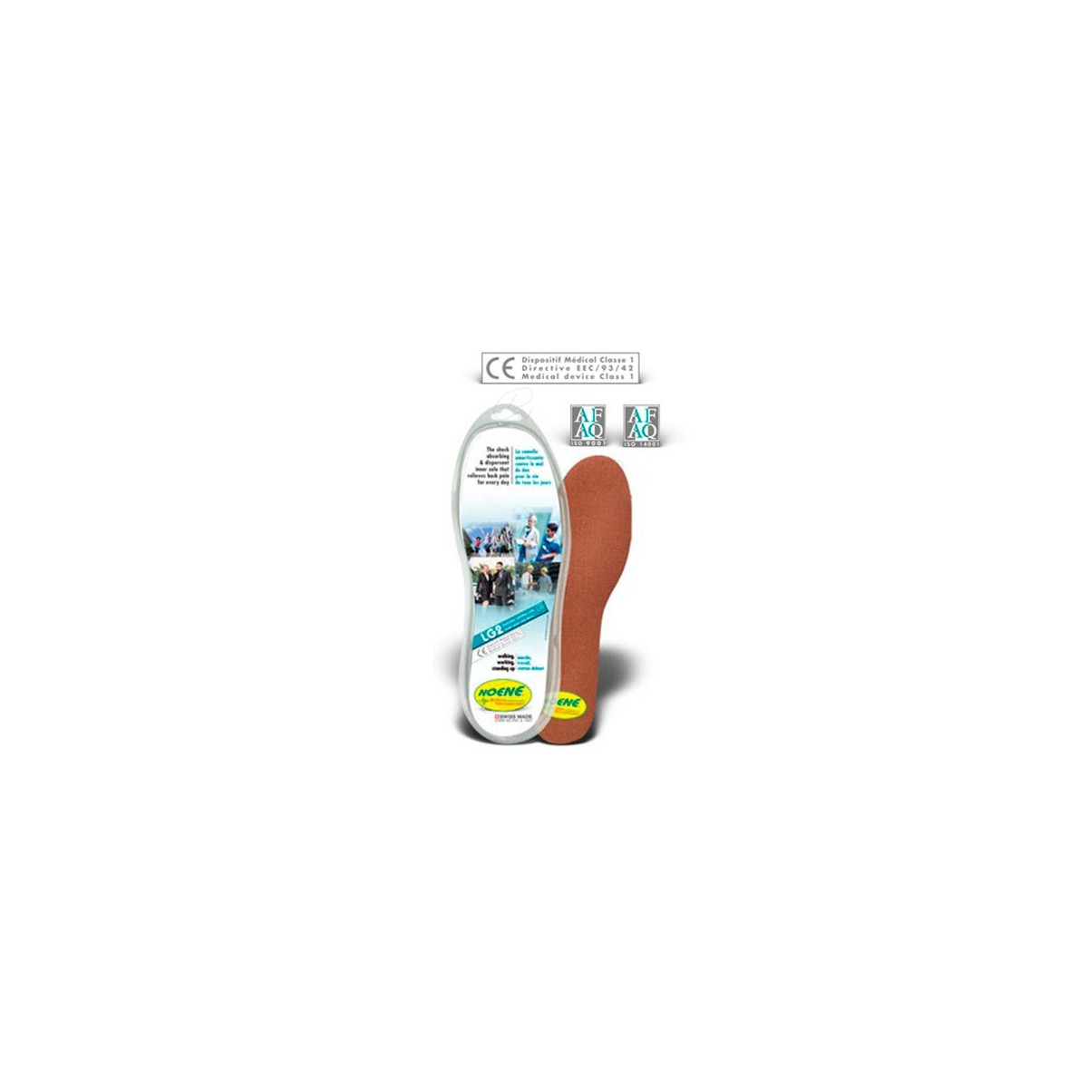 PLANTILLAS T 36  39